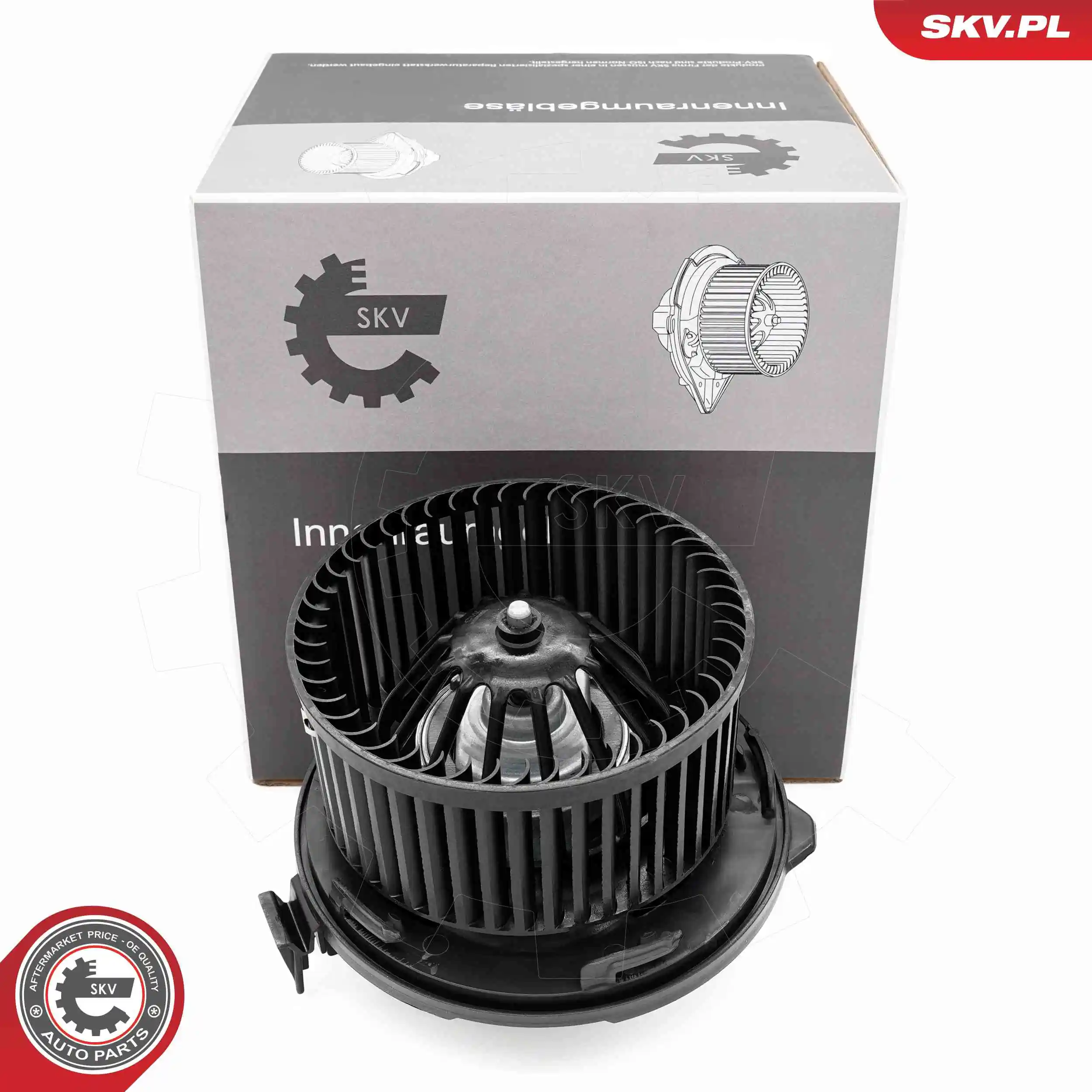 Interior Blower